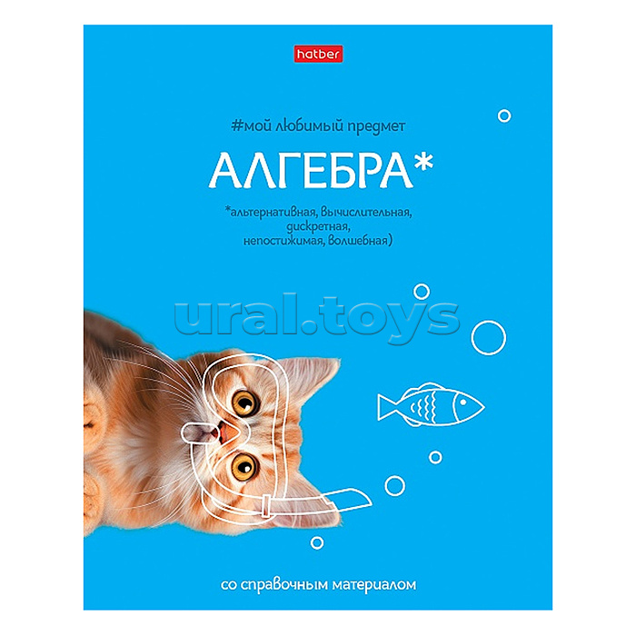 Тетрадь 48л клетка