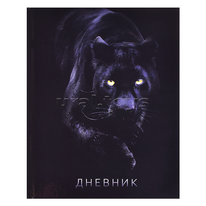 Дневник 5-11кл, тв обл .глянц/лам, 48л, Calligrata
