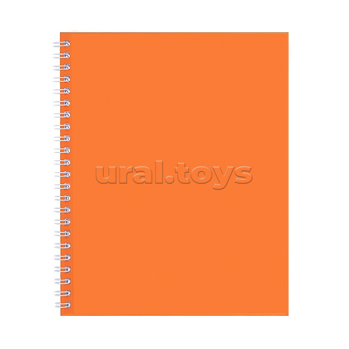 Тетрадь 96л клетка
