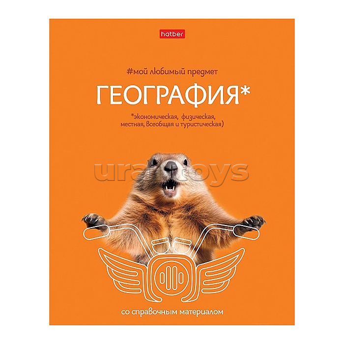 Тетрадь 48л клетка