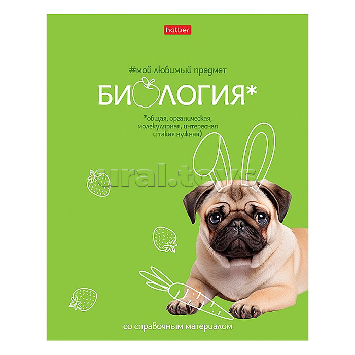 Тетрадь 48л клетка