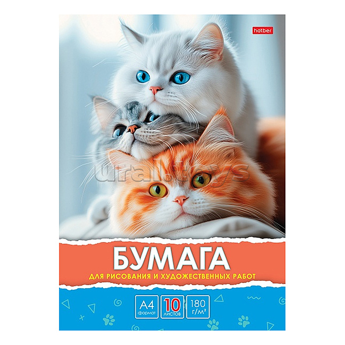 Набор бумаги для рисования и художественных работ 10л А4ф 180гр в папке тиснение