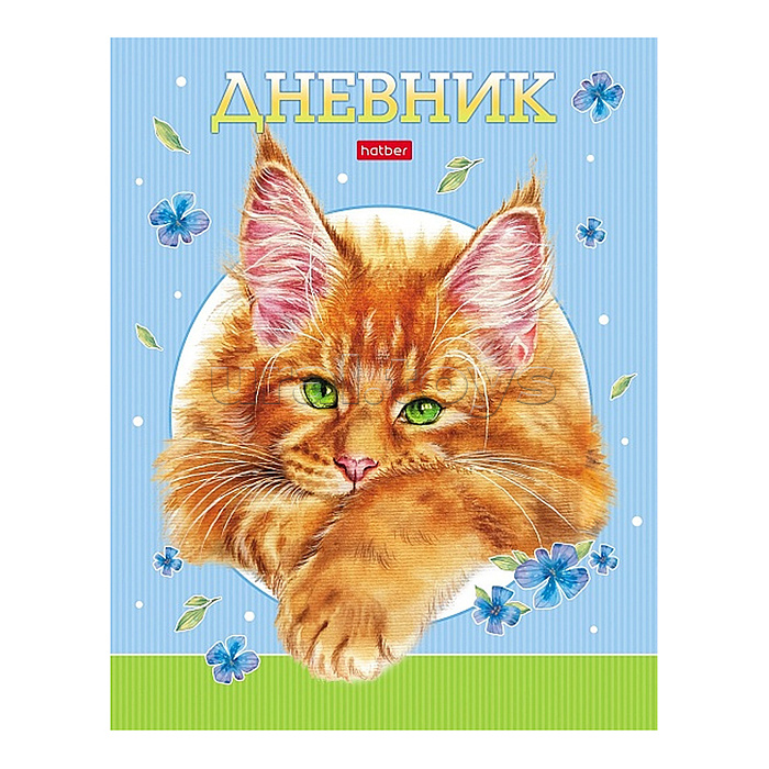 Дневник 1-11кл. 40л