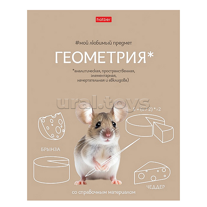 Тетрадь 48л клетка