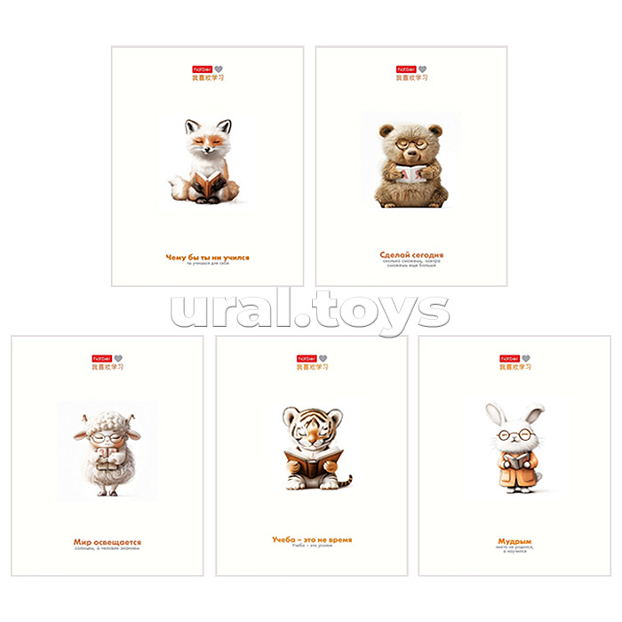 Тетрадь 48л. клетка