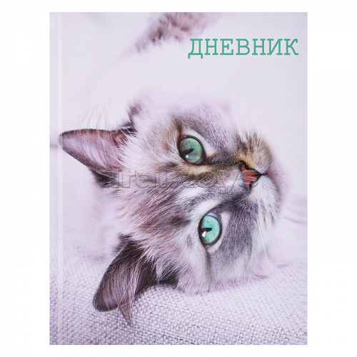 Дневник 5-11кл, тв обл .глянц/лам, 48л, Calligrata 