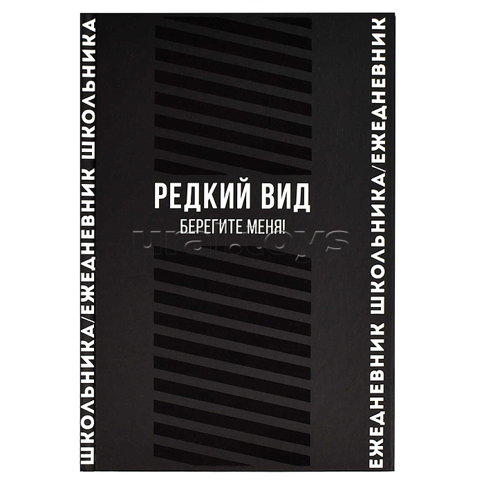 Ежедневник школьника 64л. А5