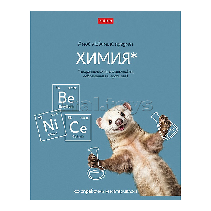 Тетрадь 48л клетка