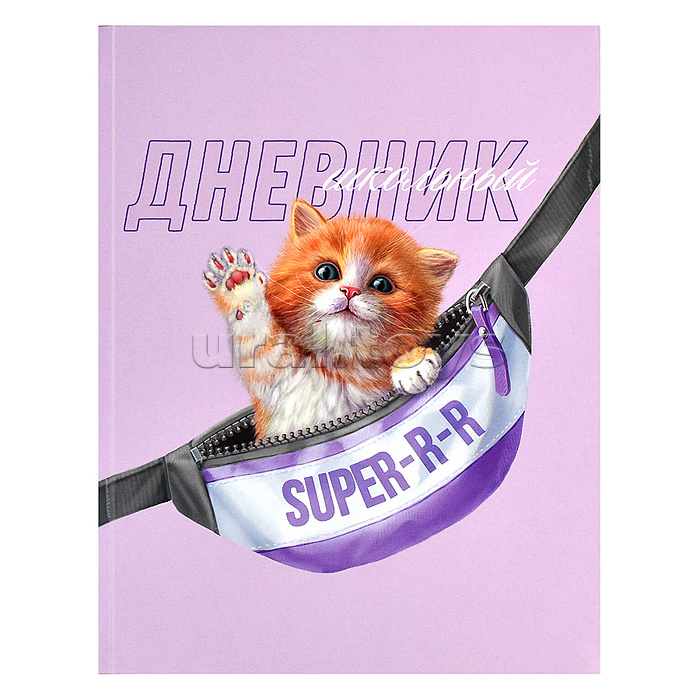 Дневник 1-11 кл. 48л. А5+