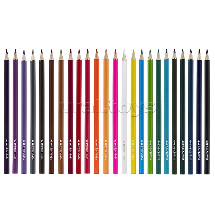 Карандаши цветные 24 цв. ECO