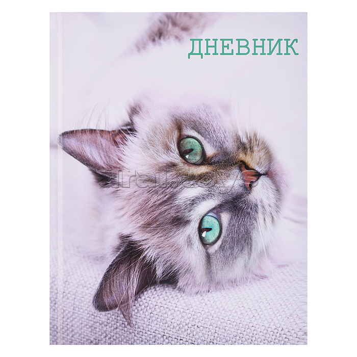 Дневник 5-11кл, тв обл .глянц/лам, 48л, Calligrata