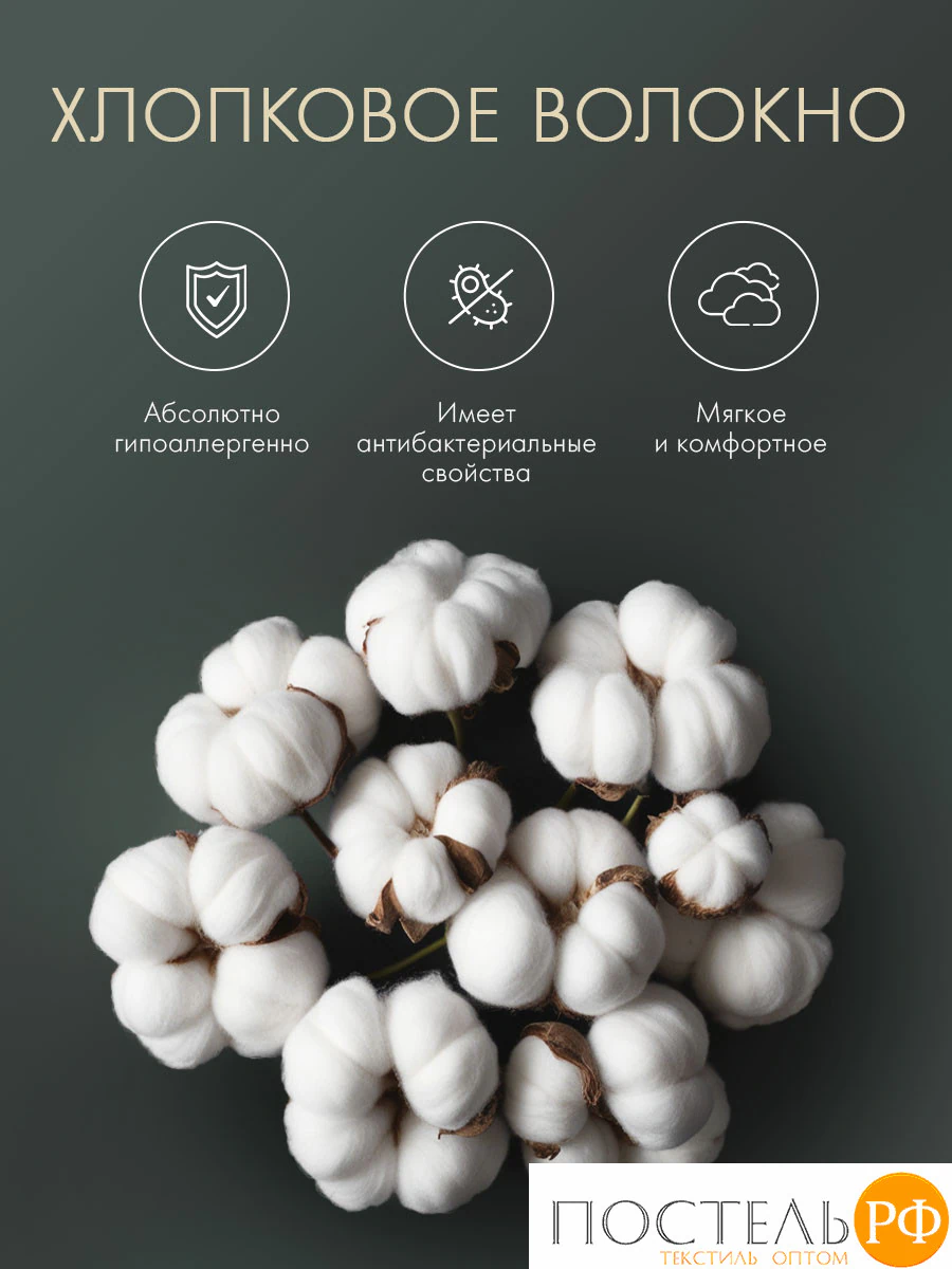 DOME ДЕМЕТРА Одеяло 172х205, 1пр., см.хлопок/хлопок/микровол., 200 г/м2