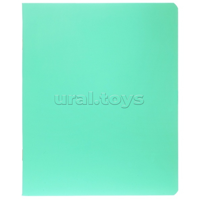 Тетрадь 96л. клетка