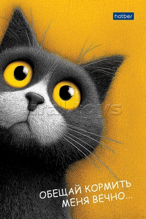 Блокнот А6 40л