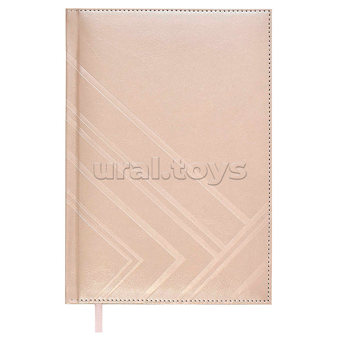 Ежедневник недатированный Escalada, #Илон Маск, А5, 160 л., Сариф эконом серый