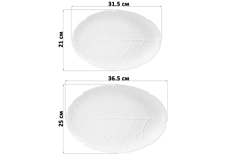 Набор из 2 блюд - Блюдо 31,5*21*2,5 см + Блюдо 36,5*25*3 см