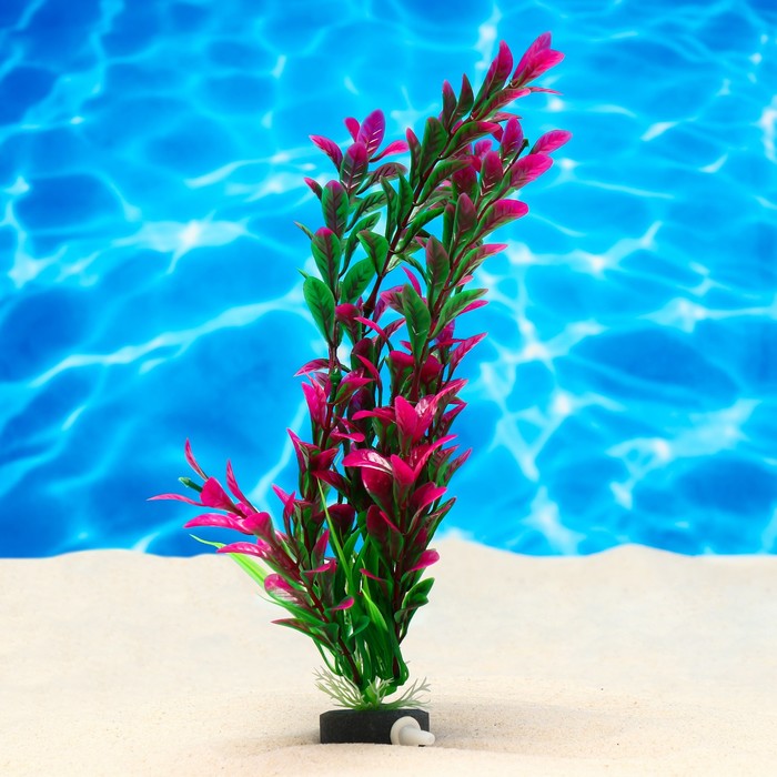 Растение искусственное