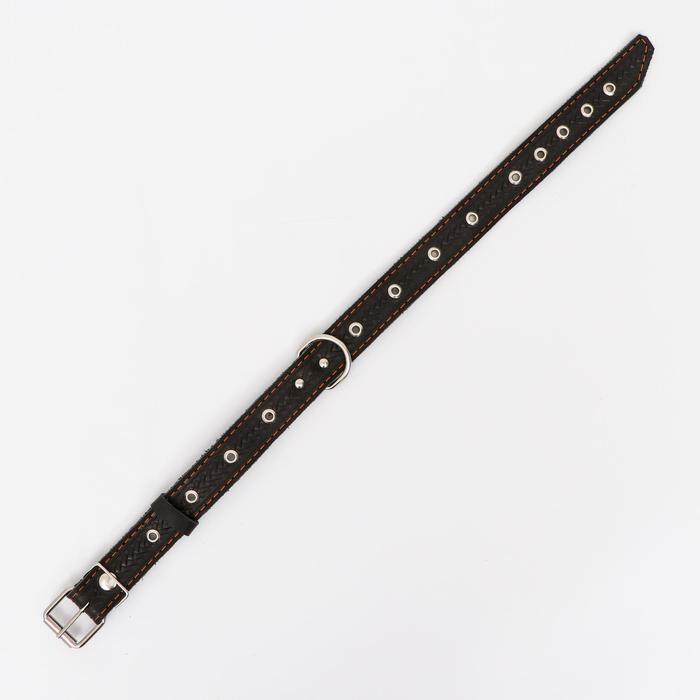 Ошейник комбинированный безразмерный, кожа/брезент, 60×3 см, ОШ 30-57 см, чёрный/зелёный