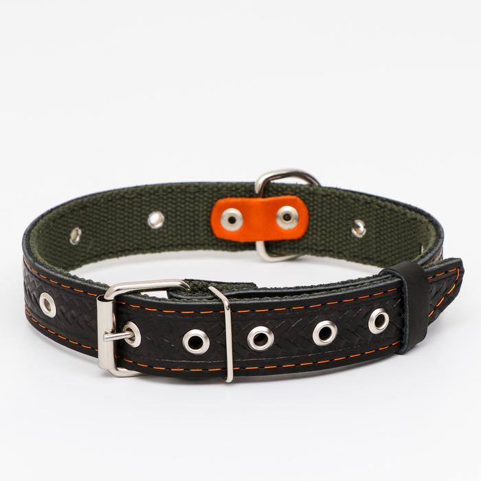 Ошейник комбинированный безразмерный, кожа/брезент, 60×3 см, ОШ 30-57 см, чёрный/зелёный