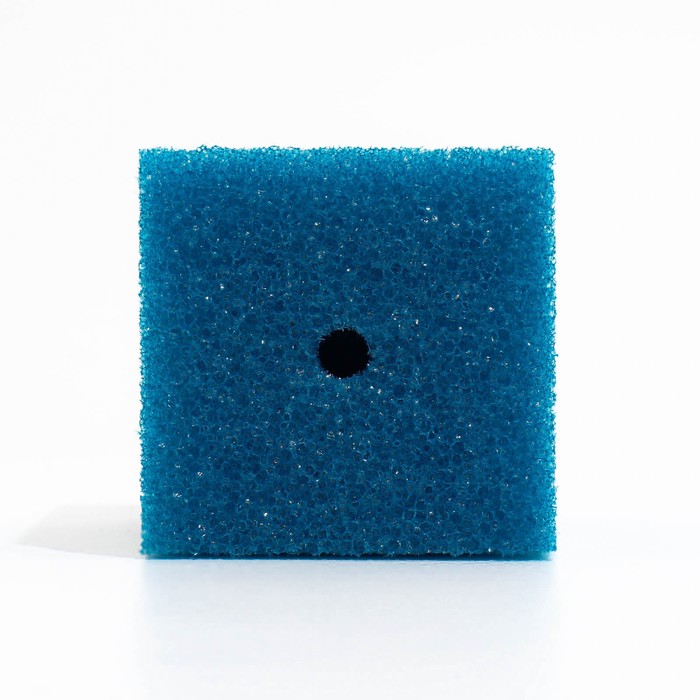 Губка прямоугольная для фильтра № 10, крупнопористая, 10×10×14 см, синяя