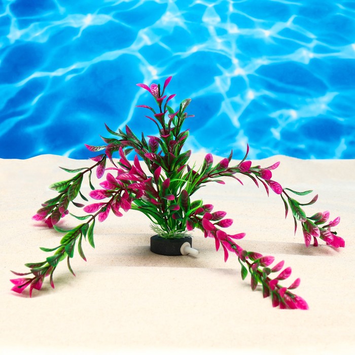 Растение искусственное