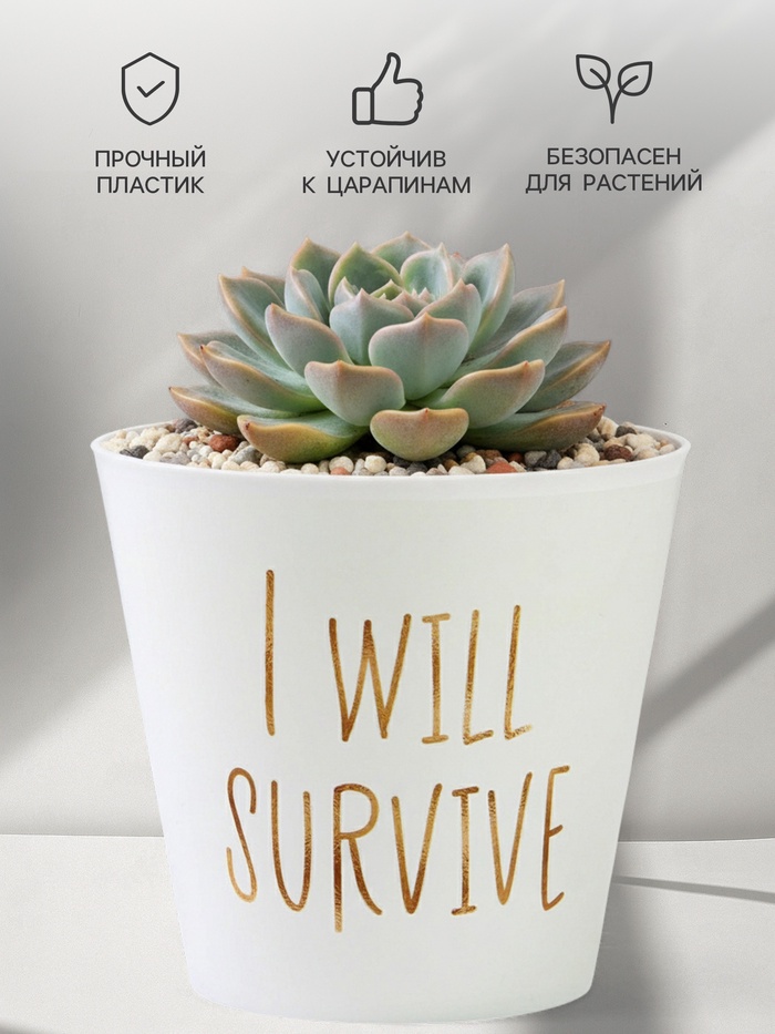 Кашпо для цветов «Я выживу», 800 мл, d=12 см, h=11 см, пластиковое