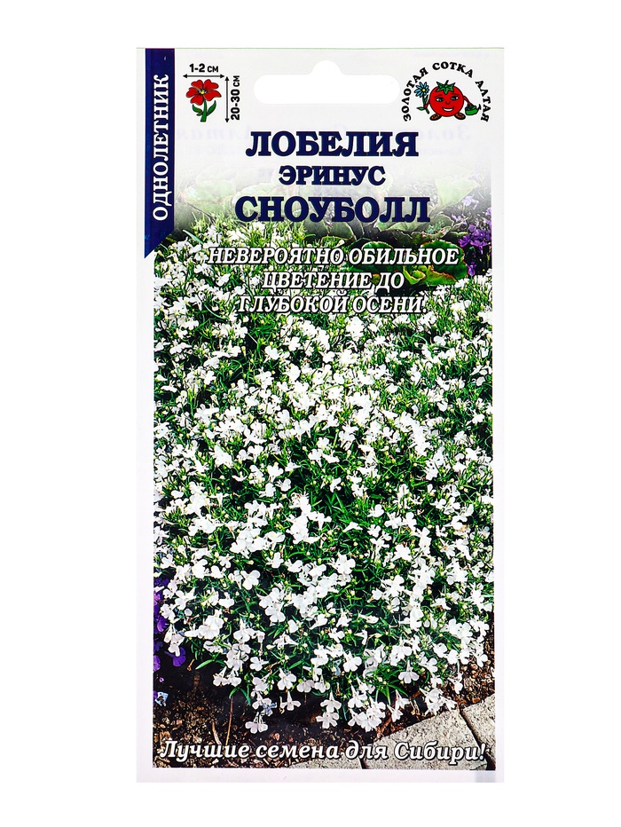 Семена Лобелия «Сноуболл эринус», 0.05 г, «Золотая Сотка Алтая»