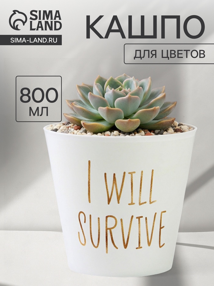 Кашпо для цветов «Я выживу», 800 мл, d=12 см, h=11 см, пластиковое
