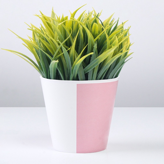 Кашпо для цветов «Цвет», 800 мл, d=12 см, h=11 см, пластиковое