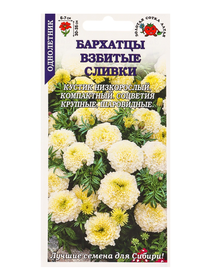 Семена Бархатцы «Взбитые Сливки», прямостоячие, 0.1 г, «Золотая Сотка Алтая»