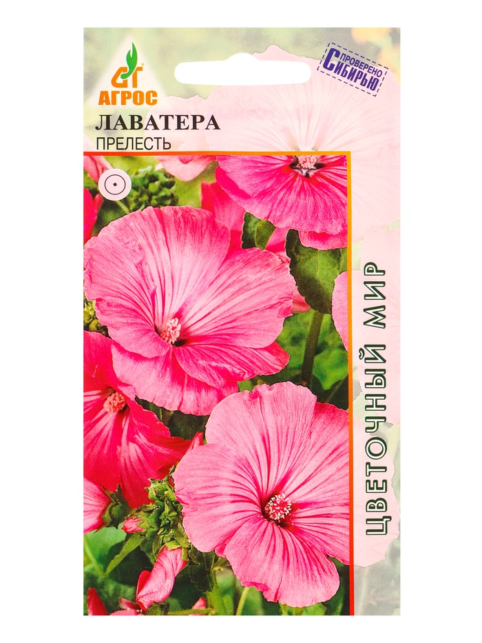 Семена Лаватера