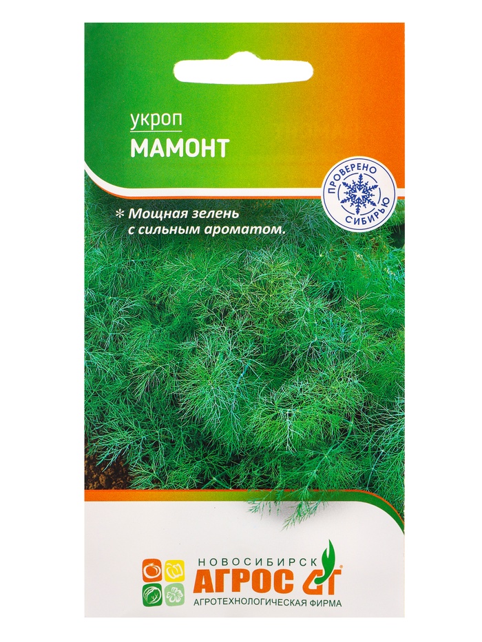 Семена Укроп