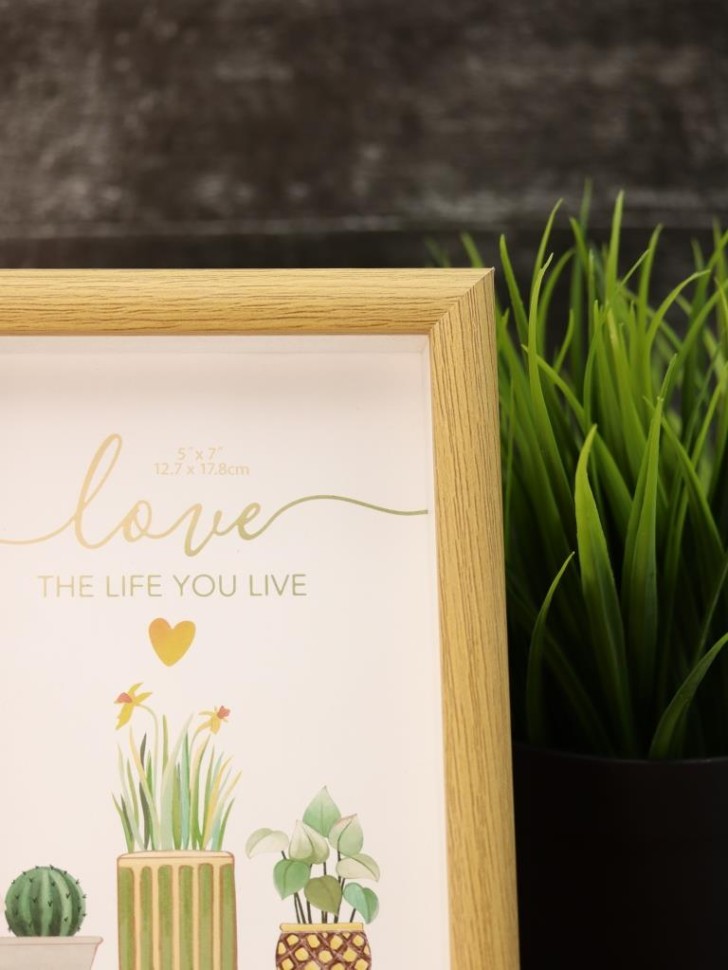 Фоторамка «Indoor plants», светлое дерево (13*18 см)