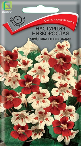 Цветы Настурция Клубника со сливками 1 г ц/п Поиск (однол.)