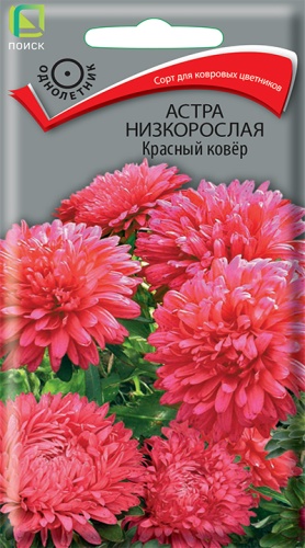 Цв. Астра Низкорослая Красный ковер 0,2 г ц/п Поиск