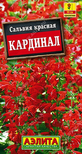 Цветы Сальвия Кардинал 0,1 г ц/п Аэлита (однол.)