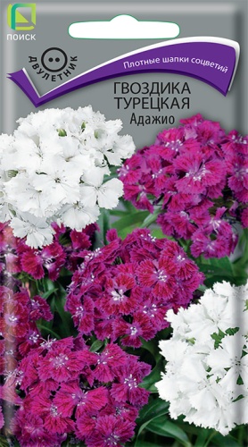 Цветы Гвоздика турец. (бородатая) Адажио, смесь 0,3 г ц/п Поиск (двул.)