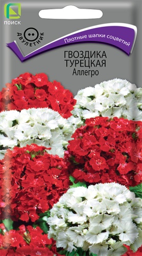 Цветы Гвоздика турец. (бородатая) Аллегро,смесь 0,3 г ц/п Поиск (двул.)