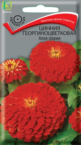 Цветы Цинния Алое пламя, георгиноцветковая 0,4 г ц/п Поиск (однол.)
