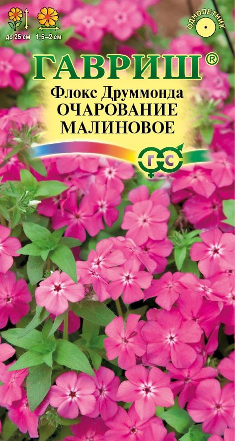 Цветы Флокс друмм. Очарование малиновое 0,05 г ц/п Гавриш (однол.)