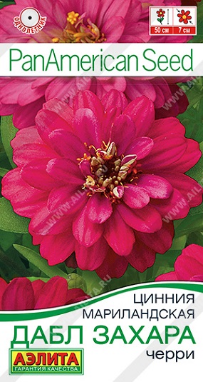 Цветы Цинния Дабл Захара Черри 5 шт ц/п Аэлита (однол.)
