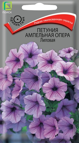Цветы Петуния амп. Опера Лиловая 5 шт ц/п Поиск