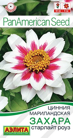 Цветы Цинния Захара Старлайт Роуз 5 шт ц/п Аэлита (однол.)