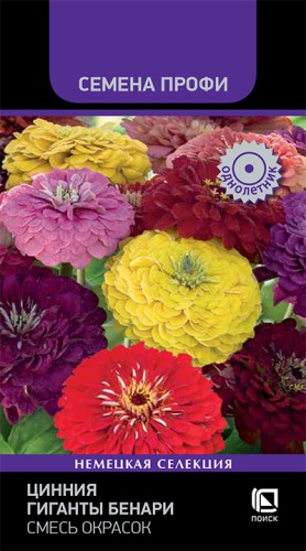 Цветы Цинния Гиганты Бенари, смесь 10 шт ц/п Поиск (однол.)