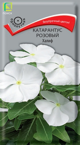 Цветы Катарантус Халиф (белый) 0,1 г ц/п Поиск
