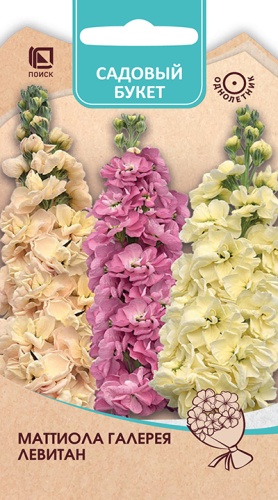 Цветы Маттиола Галерея Левитан, смесь 0,05 г ц/п Поиск (однол.)