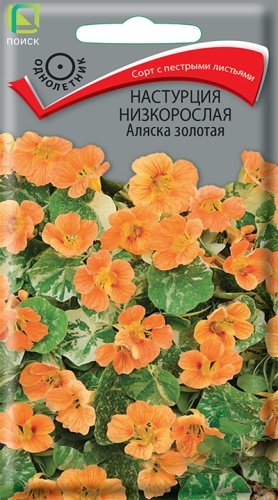 Цветы Настурция Аляска Золотая 1 г ц/п Поиск (однол.)