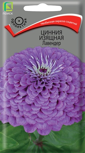 Цветы Цинния Лавандер, изящная 0,4 г ц/п Поиск (однол.)