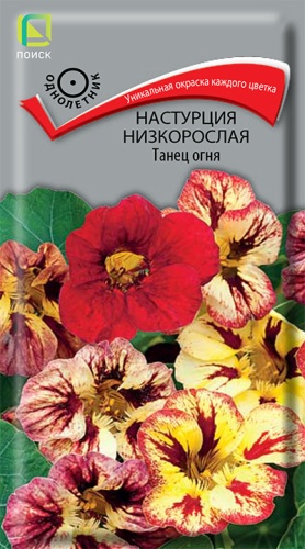 Цветы Настурция Танец огня 1 г ц/п Поиск (однол.)