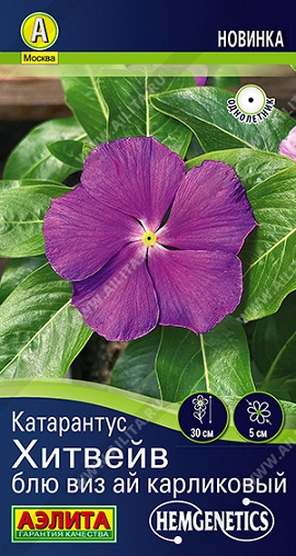 Цветы Катарантус Хитвейв Блю виз ай, карл. 5 шт ц/п Аэлита (однол.)